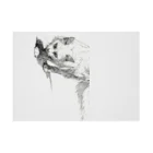 sperz shopの威嚇白猫 Stickable Poster :horizontal position