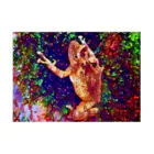 Fantastic FrogのFantastic Frog -Sparkle Version- Stickable Poster :horizontal position