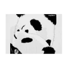 LittleLoroのPANDA COMPLEX パンダ頭複合体 0469 Stickable Poster :horizontal position