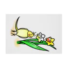 Lily bird（リリーバード）の水仙の雫で染まるオカメインコ① Stickable Poster :horizontal position