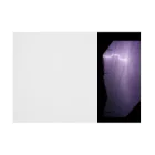 BLACK LOTUS(推し→)❀*ﾟ@病みくろ@ひーちゃんの紫色の雷 吸着ポスターの横向き