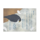 小鳥じるしの詩とハヤブサ Stickable Poster :horizontal position