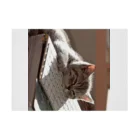 Teatime ティータイムの眠る猫 ねこ cat  Stickable Poster :horizontal position