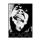 cicaDasのCICADS公式T Stickable Poster