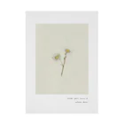 rilybiiのAntique beige green milky yellow ** Stickable Poster