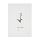 rilybiiのSakura Peach Tulip . Stickable Poster