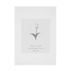 rilybiiのShabby Chic , Tulip . Stickable Poster