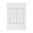 rilybiiの Graypink Carnation . Stickable Poster