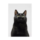 ８９６の黒猫 吸着ポスター