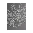 　Mtスペースの蜘蛛の巣 吸着ポスター