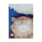 Mizuki・ASIA CATのcoco Stickable Poster