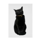 黒猫マメちゃんの魅惑ショップのリアル黒猫マメちゃんグッズ 吸着ポスター