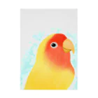 まめるりはことりのほんわかコザクラインコ　ルチノー【まめるりはことり】 Stickable Poster