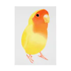 まめるりはことりのコザクラインコ　おすましルチノー【まめるりはことり】 Stickable Poster