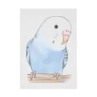 まめるりはことりのおしゃまな止まり木セキセイインコちゃん【まめるりはことり】 Stickable Poster