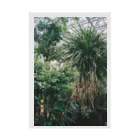 19時 57分の植物の写真 Stickable Poster