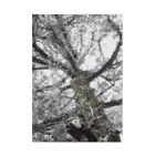 ベアーズ&サーモンの雪の木 吸着ポスター
