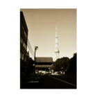 FUCHSGOLDの東京都：西日が当たる増上寺山門と東京タワー　Tokyo: Temple gate of Zojoji & Tokyo Tower Stickable Poster