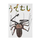 Drecome_Designのゆるいウデムシ Stickable Poster