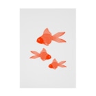 Alba spinaの金魚３匹 Stickable Poster