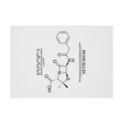アタマスタイルのペニシリン(青カビに含まれる抗生物質・感染症に対応）：化学：化学構造・分子式 Stickable Poster :horizontal position