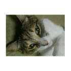 猫しゃちょうのミッチェル一家のチビちゃんin沖縄 Stickable Poster :horizontal position
