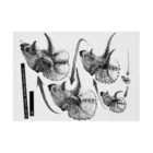 segasworksのTriceratops prorsus growth series Stickable Poster :horizontal position