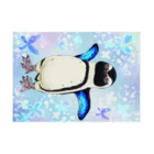 ヤママユ(ヤママユ・ペンギイナ)のケープペンギン「ちょうちょ追っかけてたの」(Blue) Stickable Poster :horizontal position