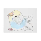 まめるりはことりのご機嫌羽セキセイインコちゃん【まめるりはことり】 吸着ポスターの横向き