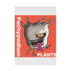 パキポキさんのPachypodium  Stickable Poster