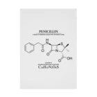 アタマスタイルのペニシリン(青カビに含まれる抗生物質・感染症に対応）：化学：化学構造・分子式 吸着ポスター