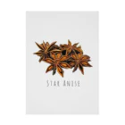 テイク コーポレーションのSTAR ANISE Stickable Poster