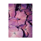 テユタオイシューのグッズの千文字「恋、または愛」の紫陽花 Stickable Poster