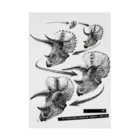 segasworksのTriceratops prorsus growth series Stickable Poster