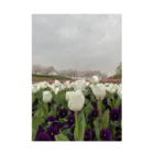 Monokomono+のWhite tulip and cherry blossom Stickable Poster