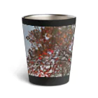 空屋　sorayakusakaの201910181619002　桜の紅葉 Thermo Tumbler