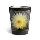 でおきしりぼ子の実験室のサボテンの花 Thermo Tumbler