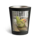 黄色クチバシピヨピヨクラブのボタンインコのポルカ Thermo Tumbler