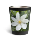 でおきしりぼ子の実験室の梔子の花 Thermo Tumbler