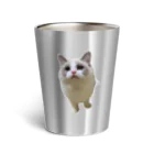 のん。-猫のいる暮らし-の黒目のんちゃん Thermo Tumbler