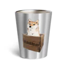 犬グッズの店しえるぶるーの箱入り柴犬 Thermo Tumbler