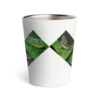 直翅類.jpのORTHOPTERA Thermo Tumbler