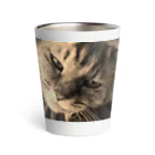 kurodoteのあまえんぼうの猫のチー Thermo Tumbler