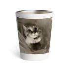 Kitty-Kitty(キティキティ)のどんぐりおめめの福ちゃん Thermo Tumbler