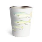 アングラースピリッツのブリの成長イラスト！ワカシ→イナダ→ワラサ→ブリ Thermo Tumbler