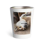 hyogo3000のMugi is Tanuki Thermo Tumbler