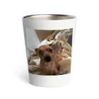 3371Mmmmの愛犬ラッキーくん Thermo Tumbler