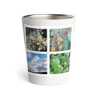 aasのお盆　obon Thermo Tumbler