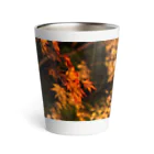 nokkccaのライトアップ紅葉 - Japanese maple(night shot) - Thermo Tumbler