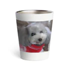 iyasinceのお犬好し「ぱぁるたん」コミュニケーション能力 Thermo Tumbler